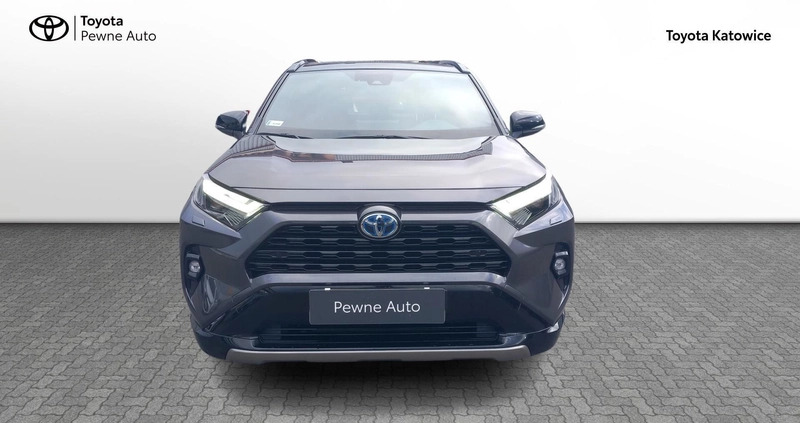 Toyota RAV4 cena 184900 przebieg: 13618, rok produkcji 2022 z Żychlin małe 191